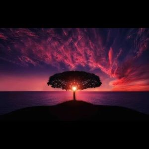 Meet your Posher, Reyna